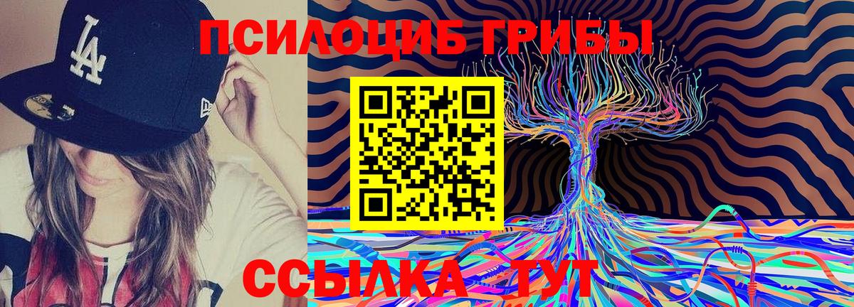 Алейск  Галлюциногенные грибы Cubensis  Вход с VPN  Псилоцибиновые грибы MAGIC MUSHROOMS 